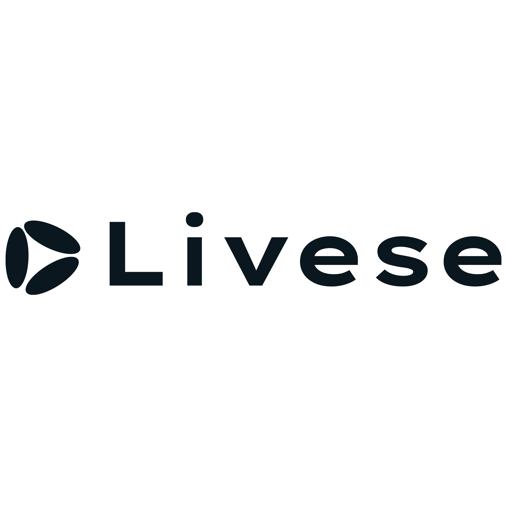 Livese Seguros e Consultoria