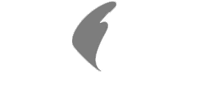 MSIG-1-1